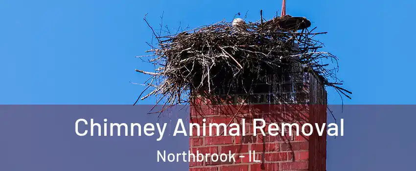 Chimney Animal Removal Northbrook - IL