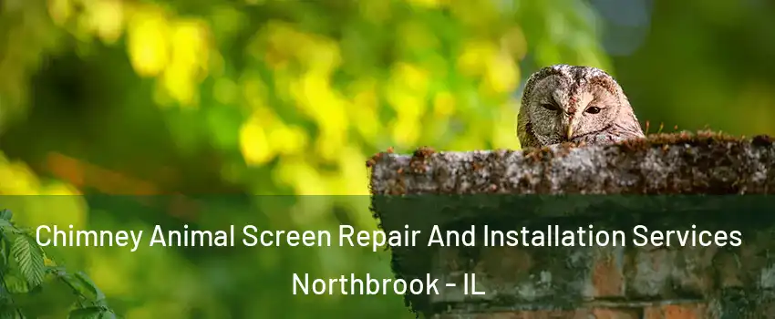  Chimney Animal Screen Repair And Installation Services Northbrook - IL
