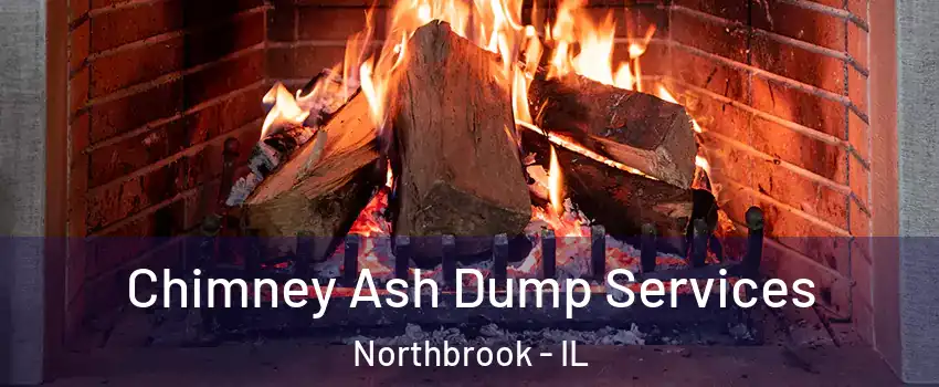  Chimney Ash Dump Services Northbrook - IL