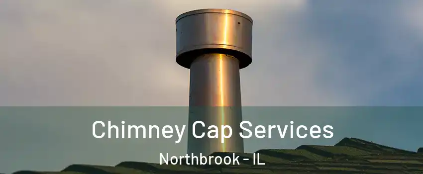  Chimney Cap Services Northbrook - IL