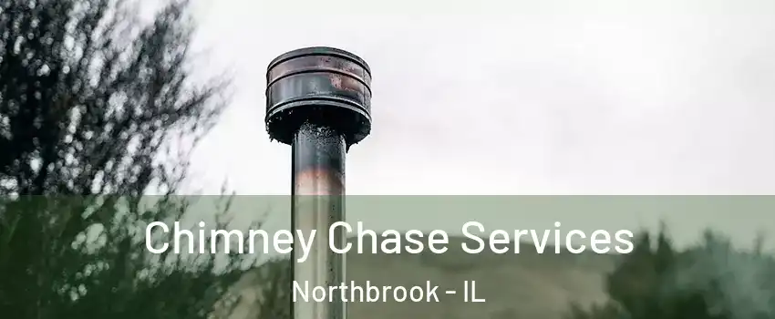  Chimney Chase Services Northbrook - IL