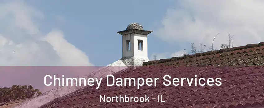  Chimney Damper Services Northbrook - IL