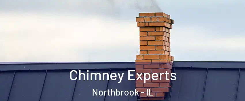 Chimney Experts Northbrook - IL