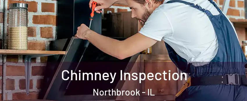  Chimney Inspection Northbrook - IL