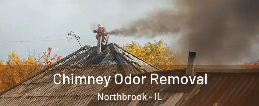  Chimney Odor Removal Northbrook - IL