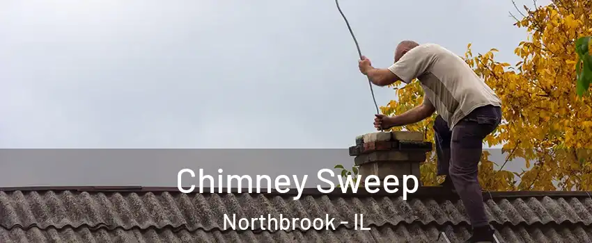  Chimney Sweep Northbrook - IL
