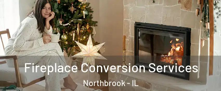  Fireplace Conversion Services Northbrook - IL