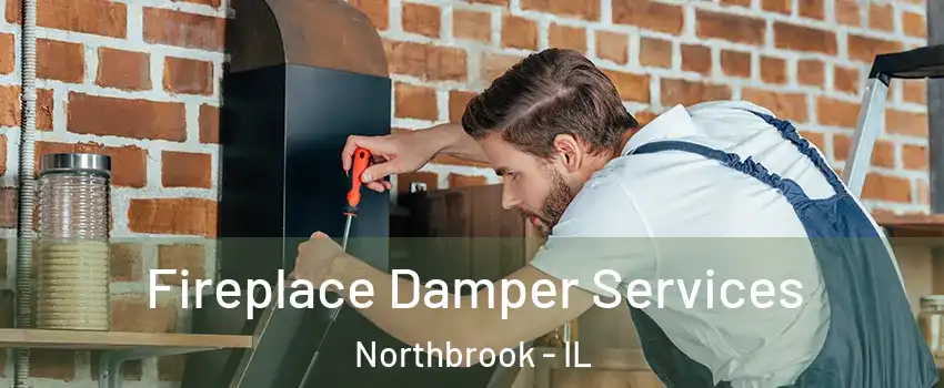  Fireplace Damper Services Northbrook - IL