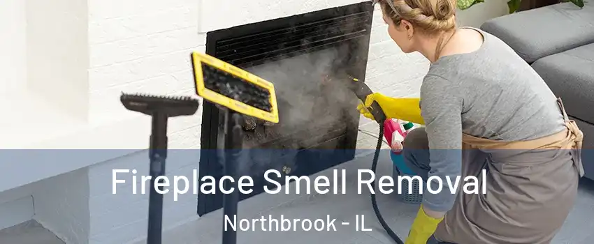  Fireplace Smell Removal Northbrook - IL