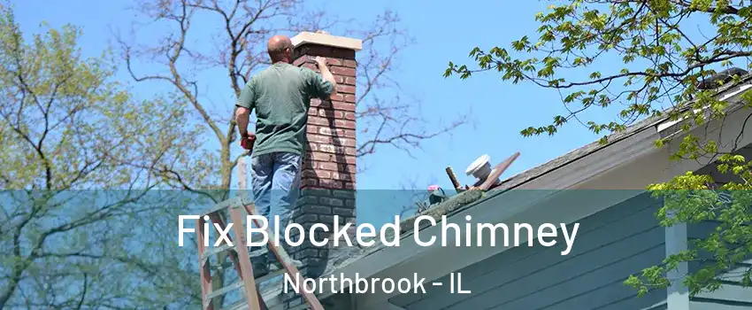  Fix Blocked Chimney Northbrook - IL