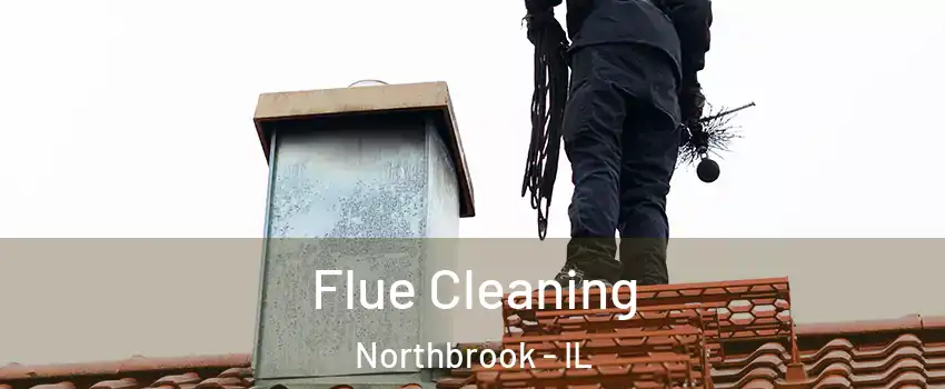  Flue Cleaning Northbrook - IL