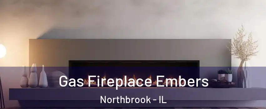 Gas Fireplace Embers Northbrook - IL