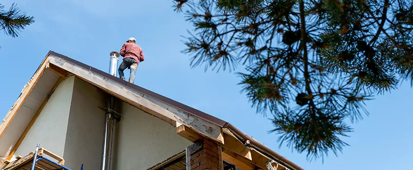 Birds Removal Contractors from Chimney in Northbrook, IL