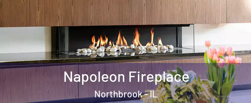  Napoleon Fireplace Northbrook - IL